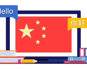 Basic Chinese Language