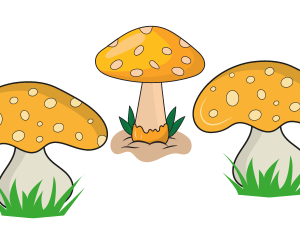 Mycology Diploma